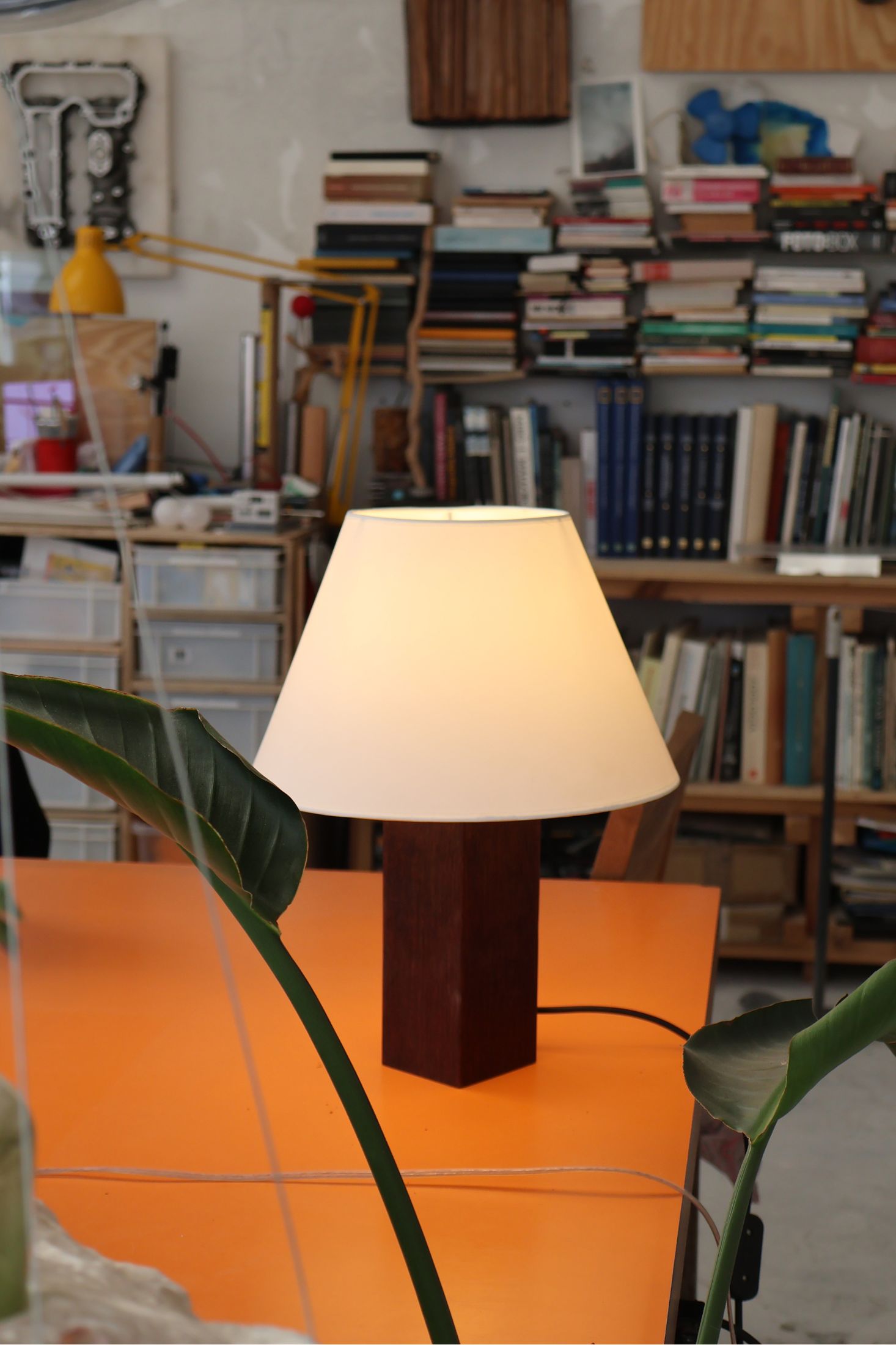 Terra on an orange table in the workshop